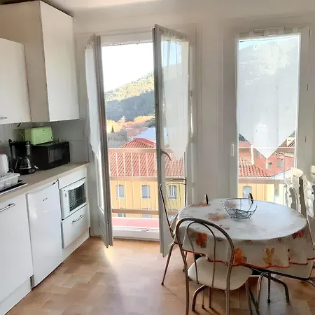 公寓 Confortable A Amelie-les-bains, 28 M², Balcon Avec Vue