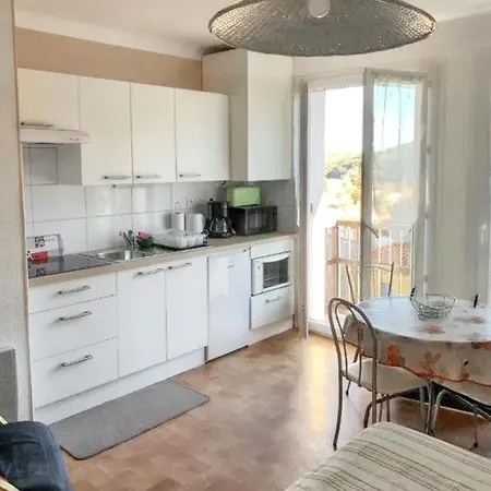 Apartment Studio Confortable A Amelie-Les-Bains, 28 M², Balcon Avec Vue Amélie-les-Bains-Palalda