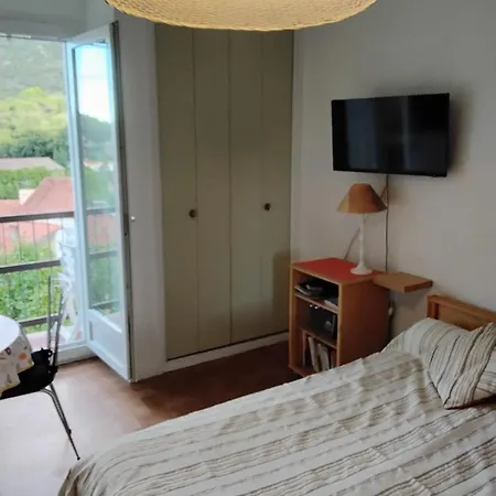 Studio Confortable A Amelie-Les-Bains, 28 M², Balcon Avec Vue * Amélie-les-Bains-Palalda